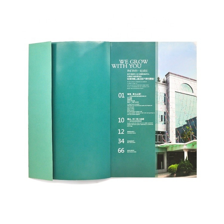 Özelleştirilmiş Renkli Resimli Kitap Baskısı 4c+4c CMYK Renkli ISO Onayı